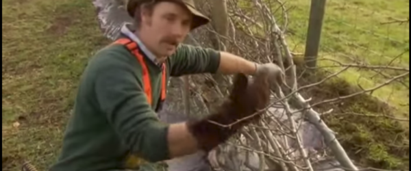 RTE Nationwide – Hedge Laying