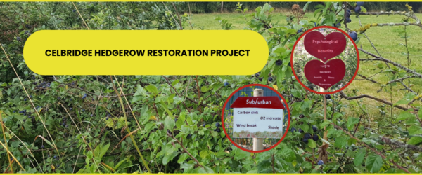 Celbridge Hedgerow Restoration Project
