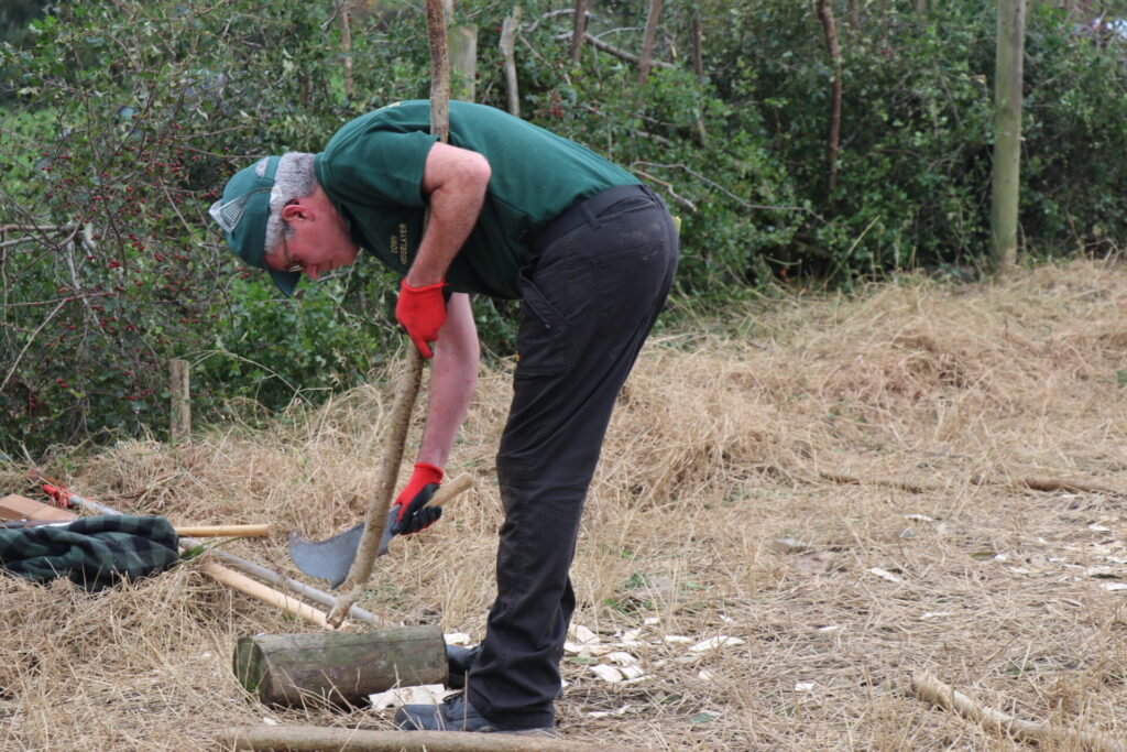 A person (green cap, green t-shirt, black trousers) is sharpening a stake with a billhook on a stubble field. There is a laid hedge in the background.