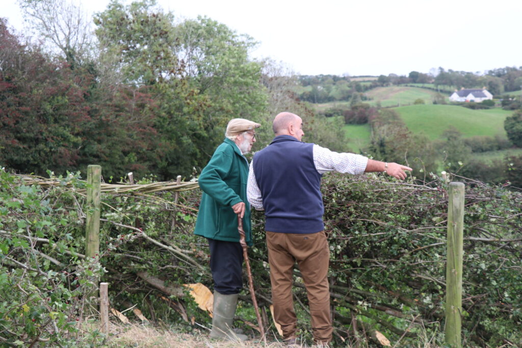 Our judges, Russell Woodham (brown trousers, white shirt, blue gilet) and Roger Parris (green wellies, black trousers, green jacket, paddy cap, grey beard), assess each competitor's stretch of laid hedge. They're standing in front of a laid hedge with stakes and binders. In the background is a treeline and a hill with hedgerows.